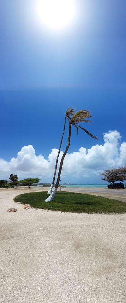 Aruba Beach Villas 팜비치 외부 사진